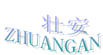  山东壮安科技发展有限公司