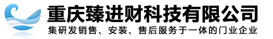  重庆臻进财科技有限公司