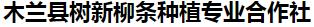  木兰县树新柳条种植专业合作社