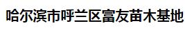  哈尔滨市呼兰区富友苗木基地