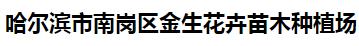  哈尔滨市南岗区金生花卉苗木种植场