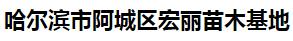  哈尔滨市阿城区宏丽苗木基地