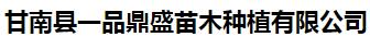  甘南县一品鼎盛苗木种植有限公司