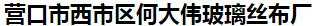  营口市西市区何大伟玻璃丝布厂