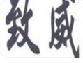  重庆致威科技（集团）有限公司