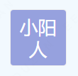  重庆小阳人建筑工程有限公司