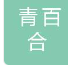  北京青百合商贸有限公司