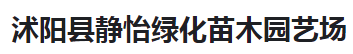  沭阳县静怡绿化苗木园艺场（河南销售）