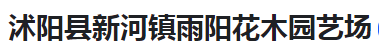  沭阳县新河镇雨阳花木园艺场（河南销售）