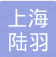  上海陆羽自动化科技有限公司