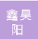  重庆鑫昊阳科技有限公司