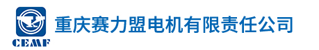  重庆赛力盟电机有限责任公司（北京销售）