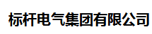 标杆电气集团有限公司