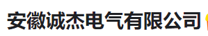  安徽诚杰电气有限公司（河南销售）