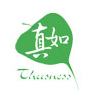  深圳真如电气技术有限公司
