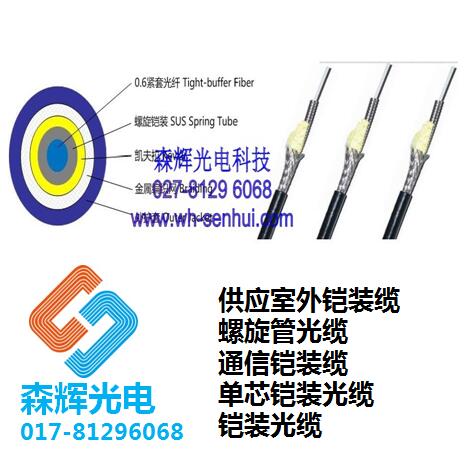  武汉森辉光电科技有限公司