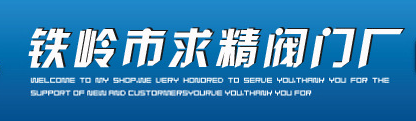  铁岭市求精阀门厂