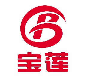  温州宝莲电气有限公司