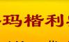  上海玛楷利实业有限公司
