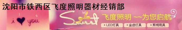  沈阳市铁西区飞度照明器材经销部