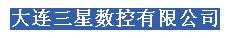  大连三星数控有限公司