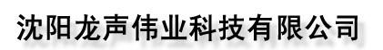  沈阳龙声伟业科技有限公司