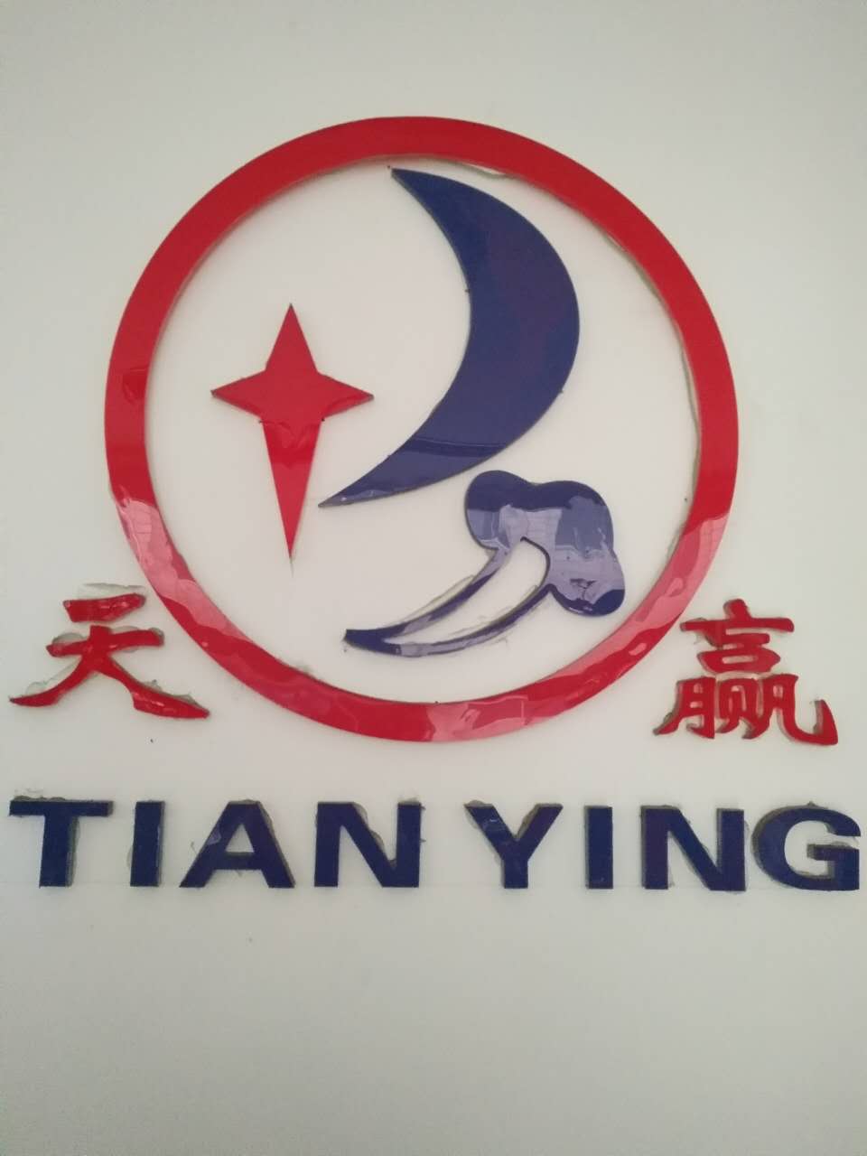  江阴大赢塑业有限公司