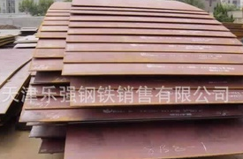  天津乐强钢铁销售有限公司