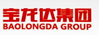  山东宝龙达实业集团有限公司