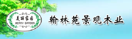  泉州市亿爵景观工程有限公司