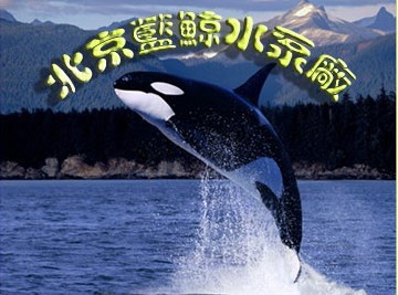  北京蓝鲸水泵厂
