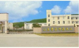  费县探沂镇坤源多层板厂