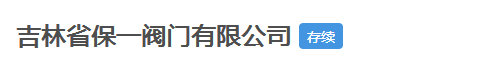  吉林省保一阀门有限公司