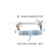 江西东恒电气有限公司