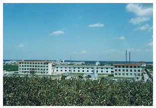  乐清市森宇熔断器有限公司
