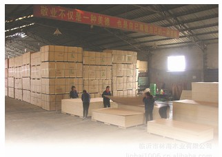  临沂市林海木业有限公司