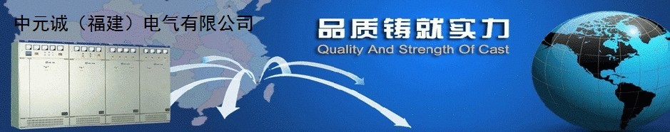  中元诚（福建）电气有限公司