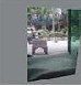  厦门顺新发玻璃科技有限公司