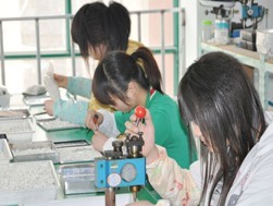  乐清市太玮机电开关厂