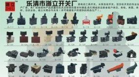  乐清市石帆浙立开关厂