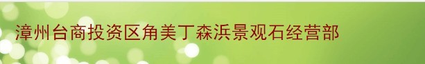  漳州台商投资区角美丁森浜景观石经营部