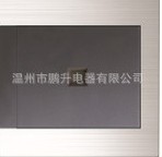  温州市鹏升电器有限公司