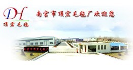  南宫市顶宏毛毡有限公司