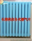  天津市宁河县兴奇散热器厂