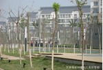  天津市平河曙光灯具经营部