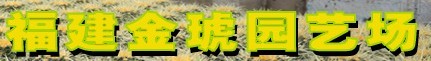  泉州市德化县宝德生态农业综合开发有限公司