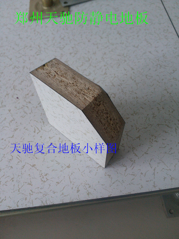  郑州天驰防静电地板有限公司