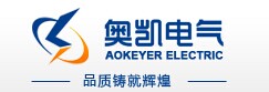 江苏奥凯电气有限公司