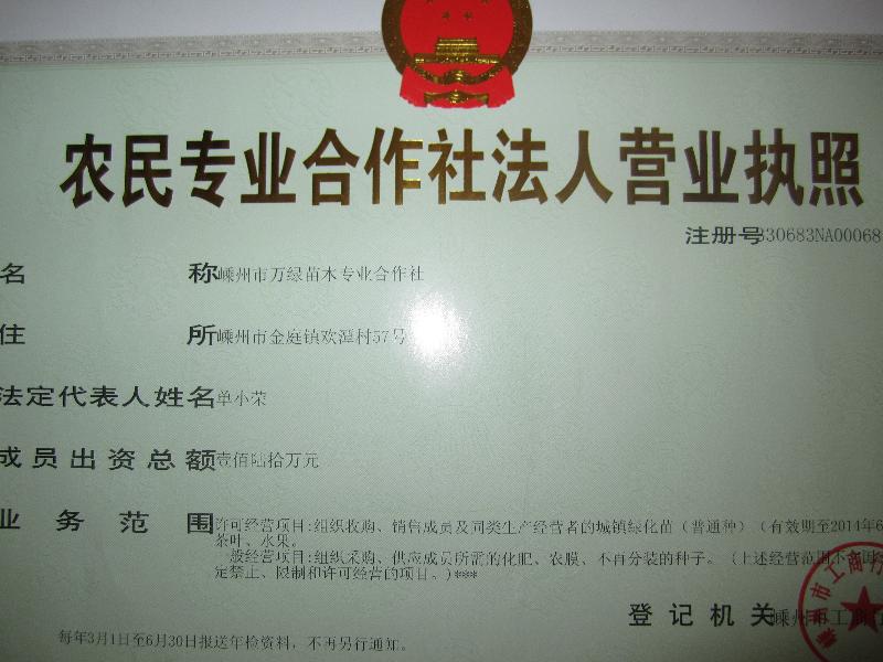  嵊州市万绿苗木专业合作社 