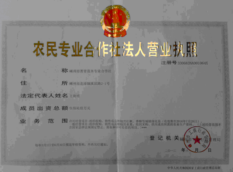  嵊州市菁青苗木专业合作社